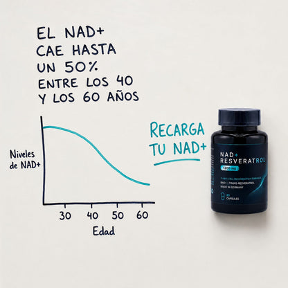 nad-plus-es-ba